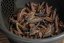 Lincang Yabao Black Buds 2025 - 30g