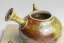 Taisuke Shiraiwa Yohen Kyusu  - 170ml
