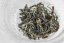 Rohini Fruity Summer Oolong 2025 - 50g