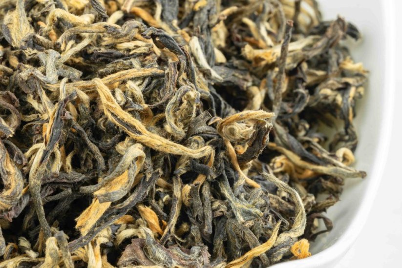 Kenya Rhino 2026 - 30g