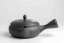 Tamamitsu Umehara Black Hira Kyusu - 230ml