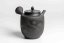 Seiho - Tsuzuki Takao - Black Kyusu - 290 ml