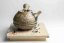 Taisuke Shiraiwa Yohen Kyusu  - 190ml
