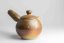 Kyusu Earth No.3 - 230ml