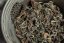 2025 Hsinchu Oriental Beauty Competition Grade - 1Plum - 150g