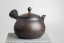 Reiko Vintage Black Red Flowers Kyusu - 240ml