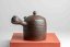 Mori Iroku III Diamond Cut Kyusu - 200ml