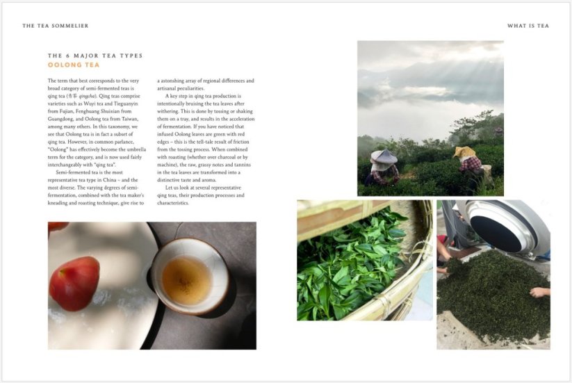 The Tea Sommelier: The Art of Selecting, Pairing and Appreciating the World's Finest Teas