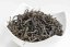 Nature Farming Wuyi Black - 50g