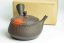 Hirotaka Umehara Fuji Shape Kyusu - 240ml