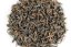 Shizuoka Koushun Red Koucha 2nd Flush 2026 - 50g