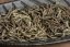 Uganda Sun Dried Silver Needle 2025 - 50g
