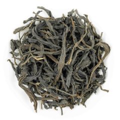 Dibrugarh Exotic Assam SF 2026