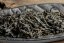 Java High Mountain Black 1/2025 - 30g