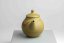 Jinshu Mogake Teapot - 130 ml