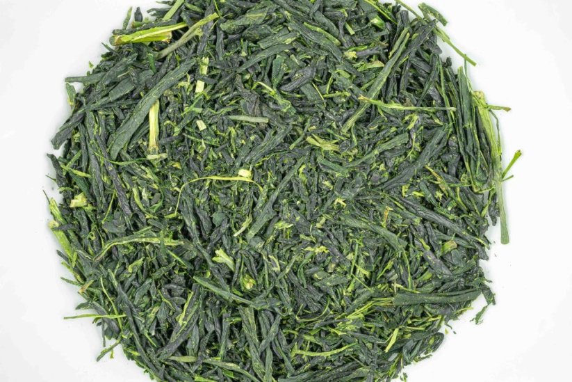 Shincha Kamo Asanoka Fukamushi 2026 - 50g