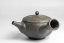 Keiichiro Watanabe Kyusu - 230 ml