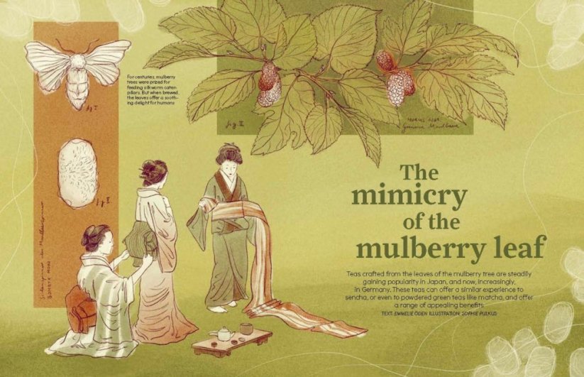 t-Magazine - English edition #3 - Tea Trips