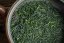 Mie Suizawa Kabusecha Premium 2025 - 50g