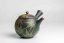 Seiho - Tsuzuki Takao Momiji Kyusu - 270ml