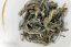 Diverse Flow Laowu Shan Gushu - 200g