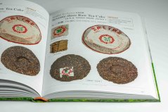 First Step to Chinese Puerh Tea