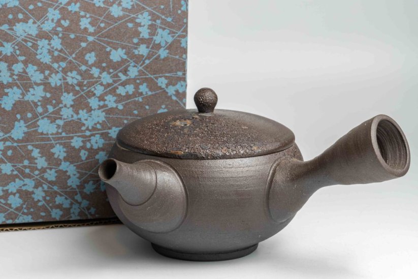 Keiichiro Watanabe Kyusu - 230 ml