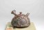 Konishi Yohei Sunflower Kyusu - 150ml