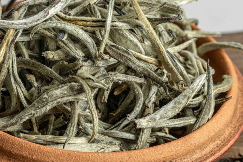 Java High Mountain Platinum Tips 5/2025 - 30g