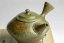 Taisuke Shiraiwa Emerald Yohen Kyusu - 200ml