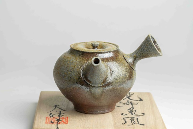 Taisuke Shiraiwa Yohen Kyusu  - 240ml