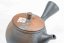 Gyokukou Yohen Kyusu - 240 ml