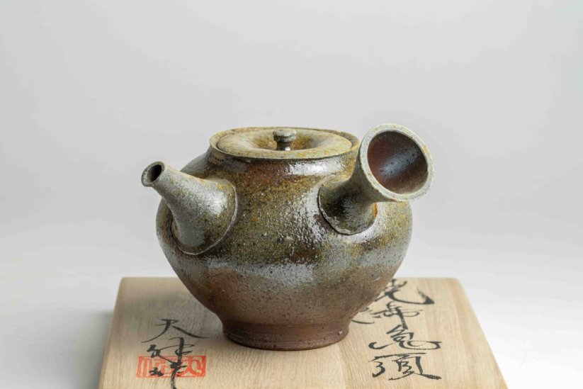 Taisuke Shiraiwa Yohen Kyusu  - 240ml