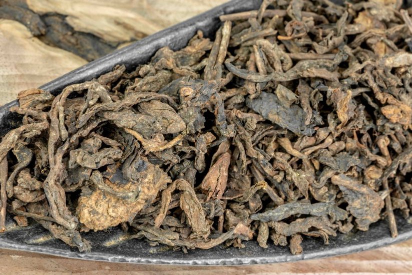 Chiang Rai Gushu Shu Cha 1/2023 - 50g