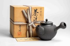 Seiho - Tsuzuki Takao - Black Kyusu - 270ml