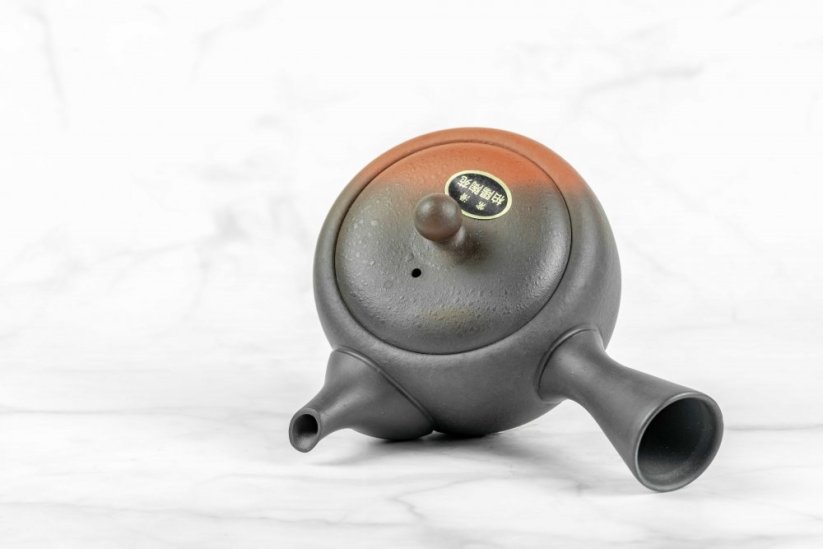 Tokoname Kyusu - 190 ml