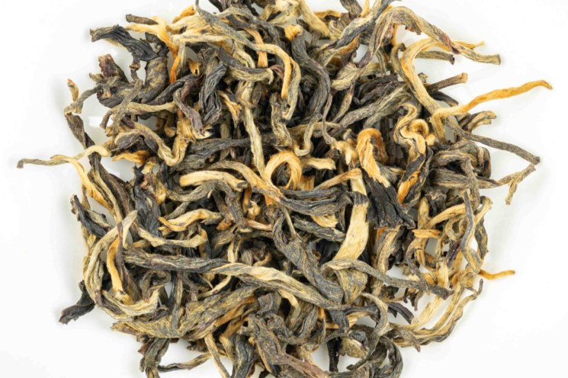 Kenya Rhino 2026 - 30g