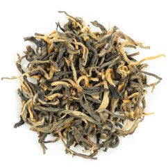 Kenya Rhino 2025 - 30g