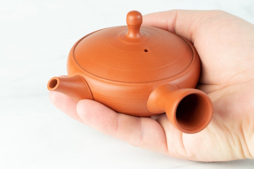 Tokoname Kyusu - 125ml