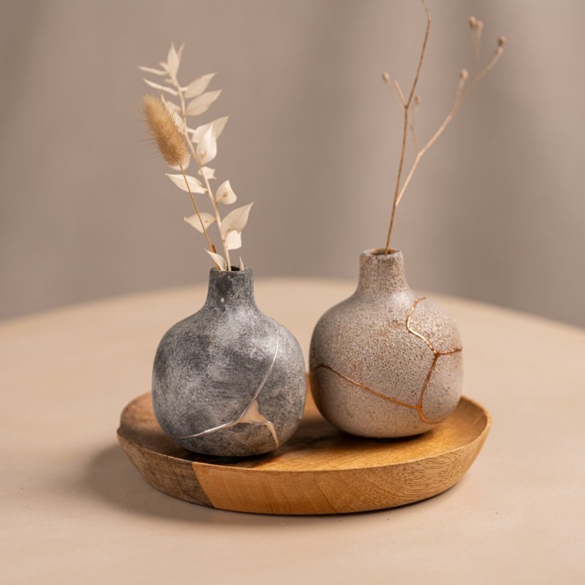 Kintsugi Bio Repair Kit: Gold & Silver