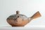 Keiichiro Watanabe Kyusu - 100ml