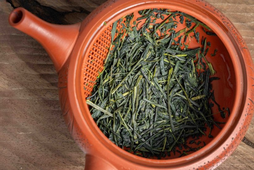 Haibara Mirai Sencha 2025 - 50g