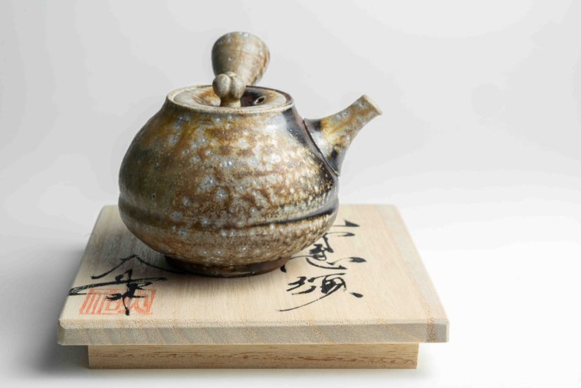 Taisuke Shiraiwa Yohen Kyusu  - 190ml