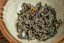 Jungle Flow - Chiang Rai Gushu Sheng 3/2024 - 100g