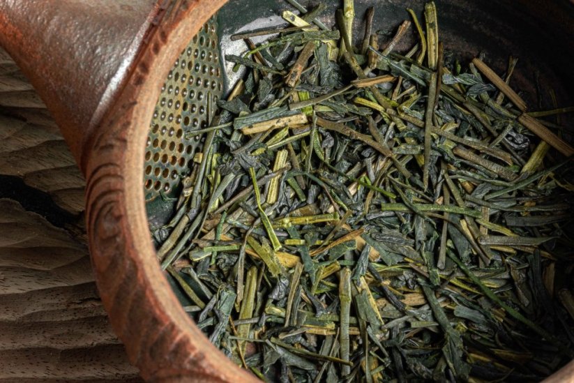 Kagoshima Ao Hojicha Kaguwashi 2026 - 50g