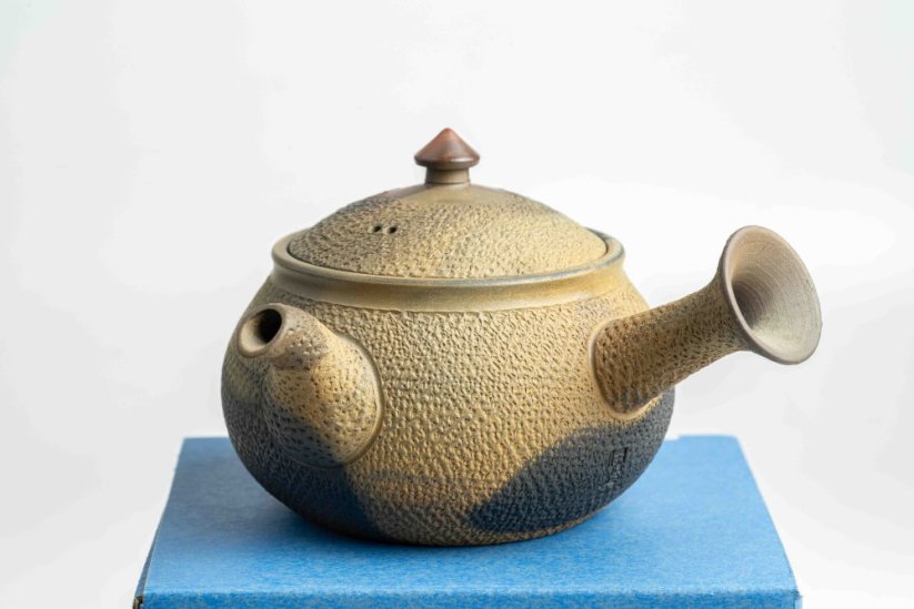 Mori Iroku IV Yohen Kyusu - 130ml