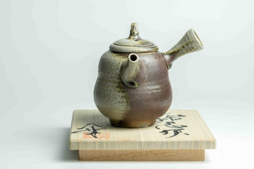 Taisuke Shiraiwa Yohen Kyusu  - 170ml