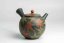 Seiho - Tsuzuki Takao Momiji Kyusu - 280ml
