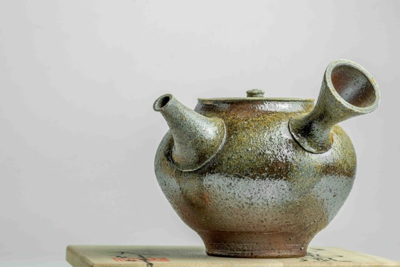 Taisuke Shiraiwa Yohen Kyusu  - 240ml