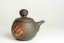 Shoyo Itoh Flowers Kyusu - 250ml